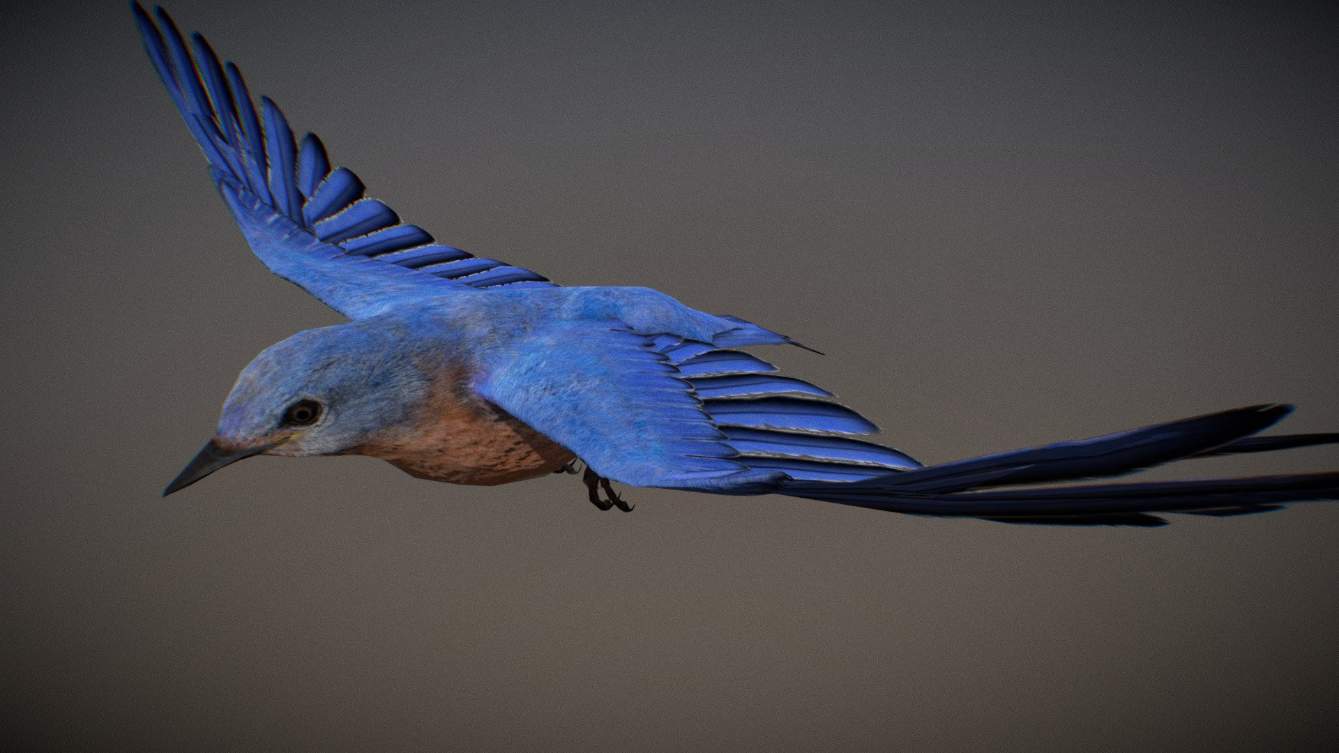 Animalia - Bluebird - 3D Model By GiM (@GamesInMotion) [a43198d ...