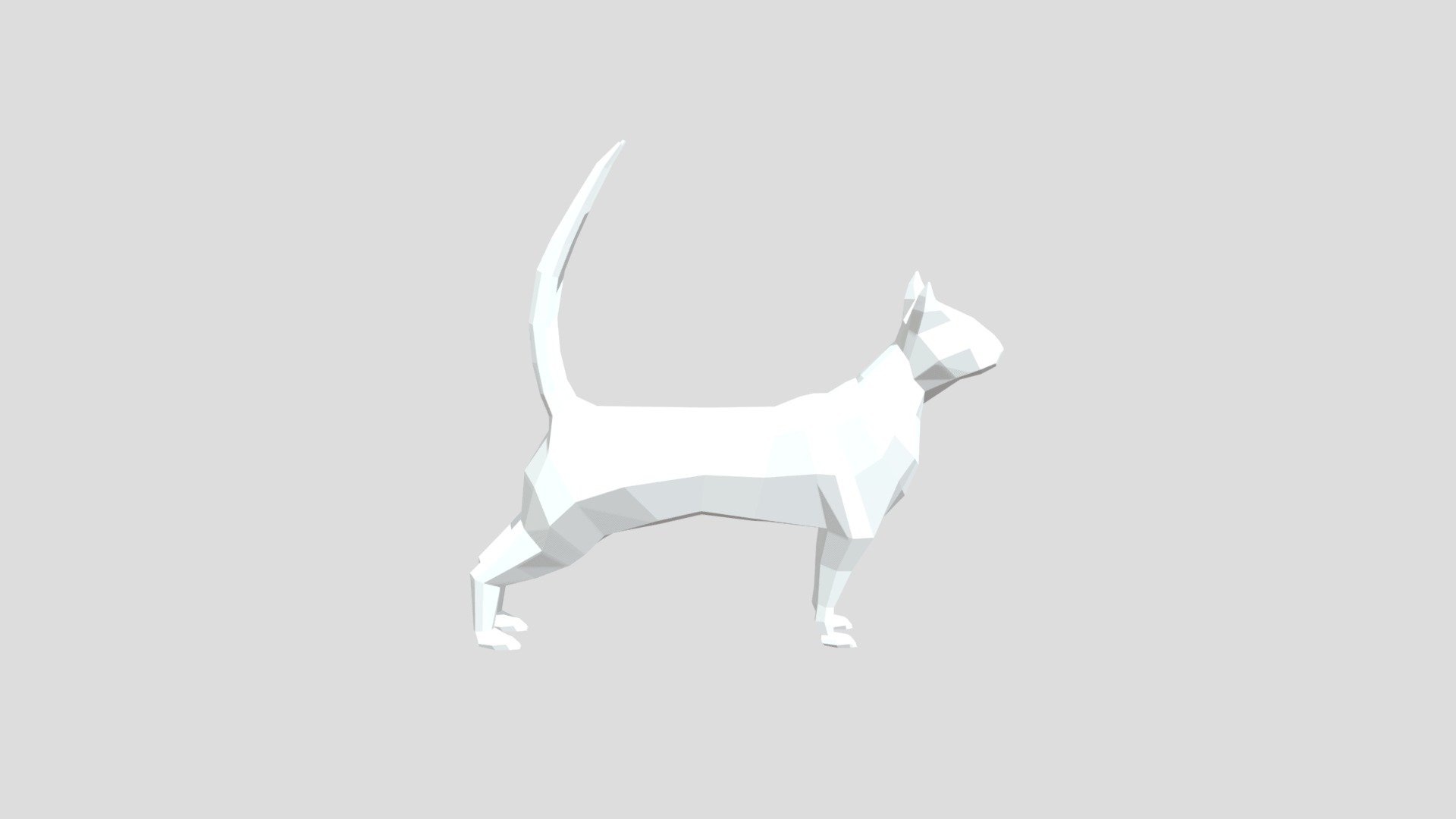 Two-tailed Cat 2.0