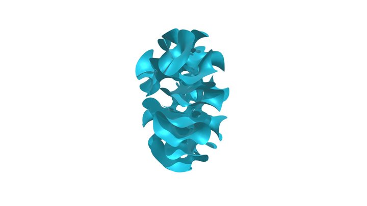 Minimal Surface 3D Model