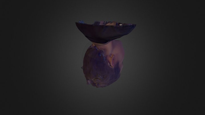 Kuba 01 3D Model