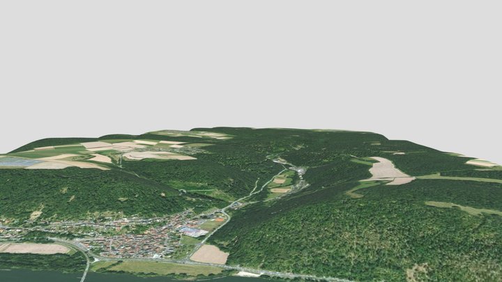 3d_Haseltal_Orthophoto 3D Model