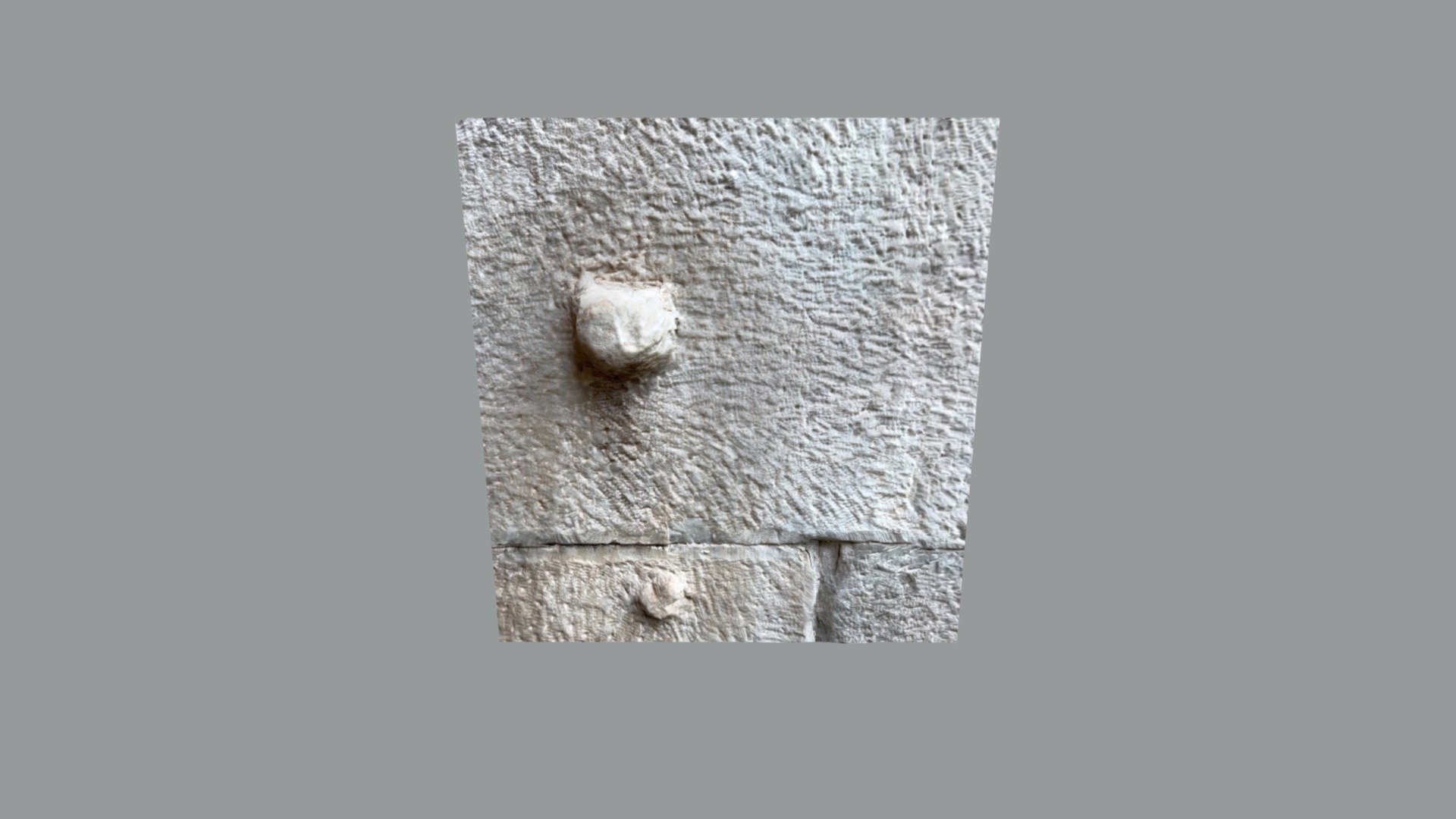 Tenoni (Porta San Sebastiano, Roma)