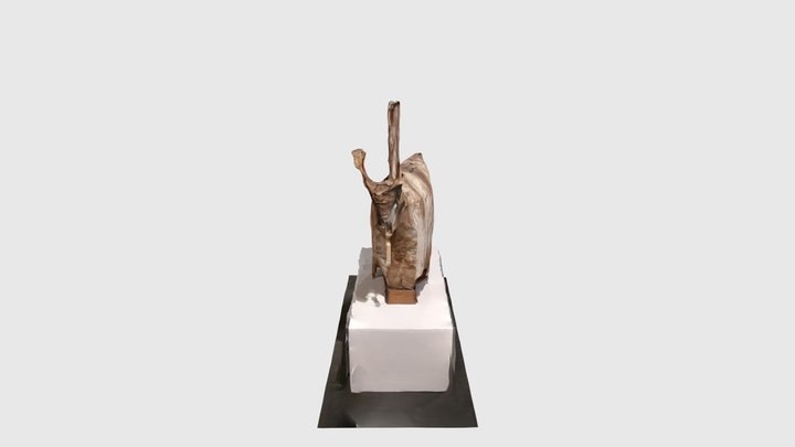 cordero 3D Model