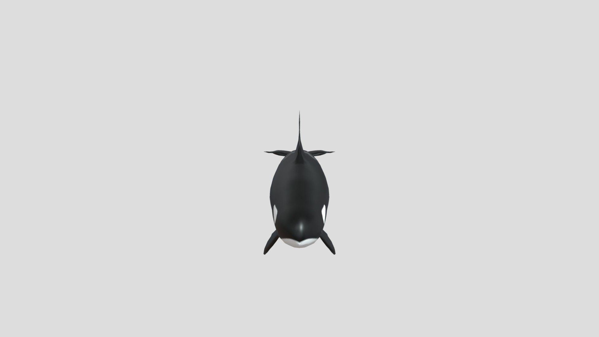 Orca Low Poly - Download Free 3D model by achandramdl [a43c4e2] - Sketchfab