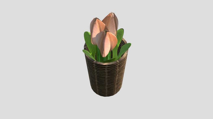 Tulips 3D Model