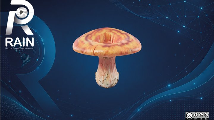 Oyster Mushroom (Pleurotus Ostreatus) – Free 3D Model STL