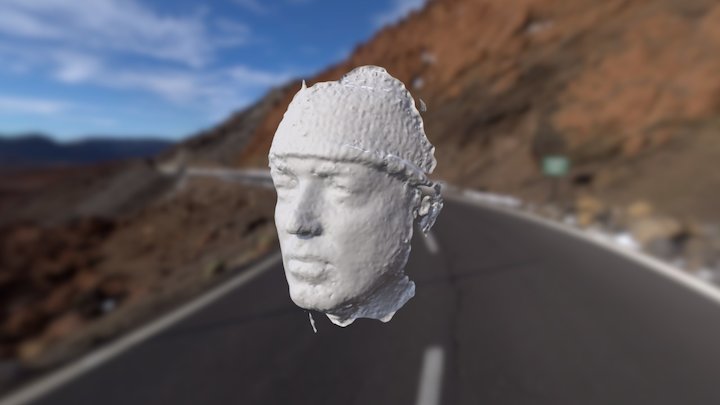 Dads Head Test 3D Model