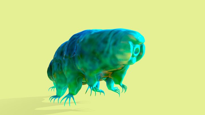 Tardigrade with polypaint 3D Model