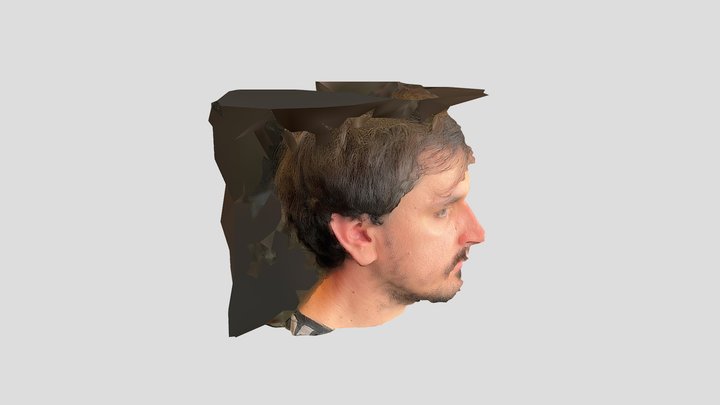 Axel 1 3D Model