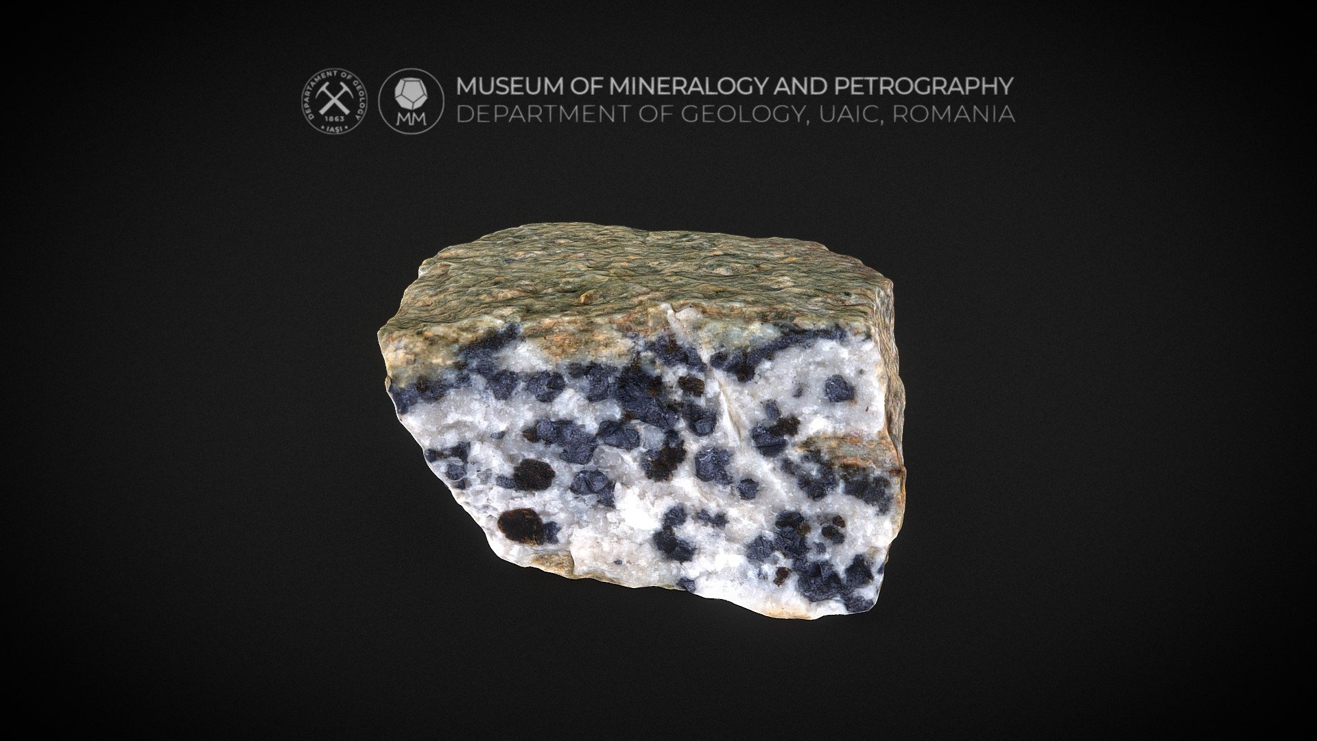 Chlorite Quartzite with Galena and Sphalerite 3D model by Museum of