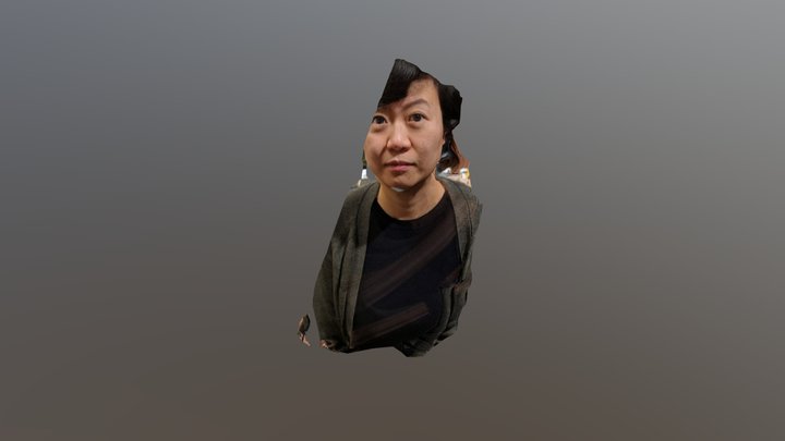 Test Z head 3D Model
