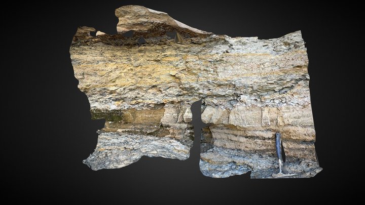 Rip up clasts 3D Model