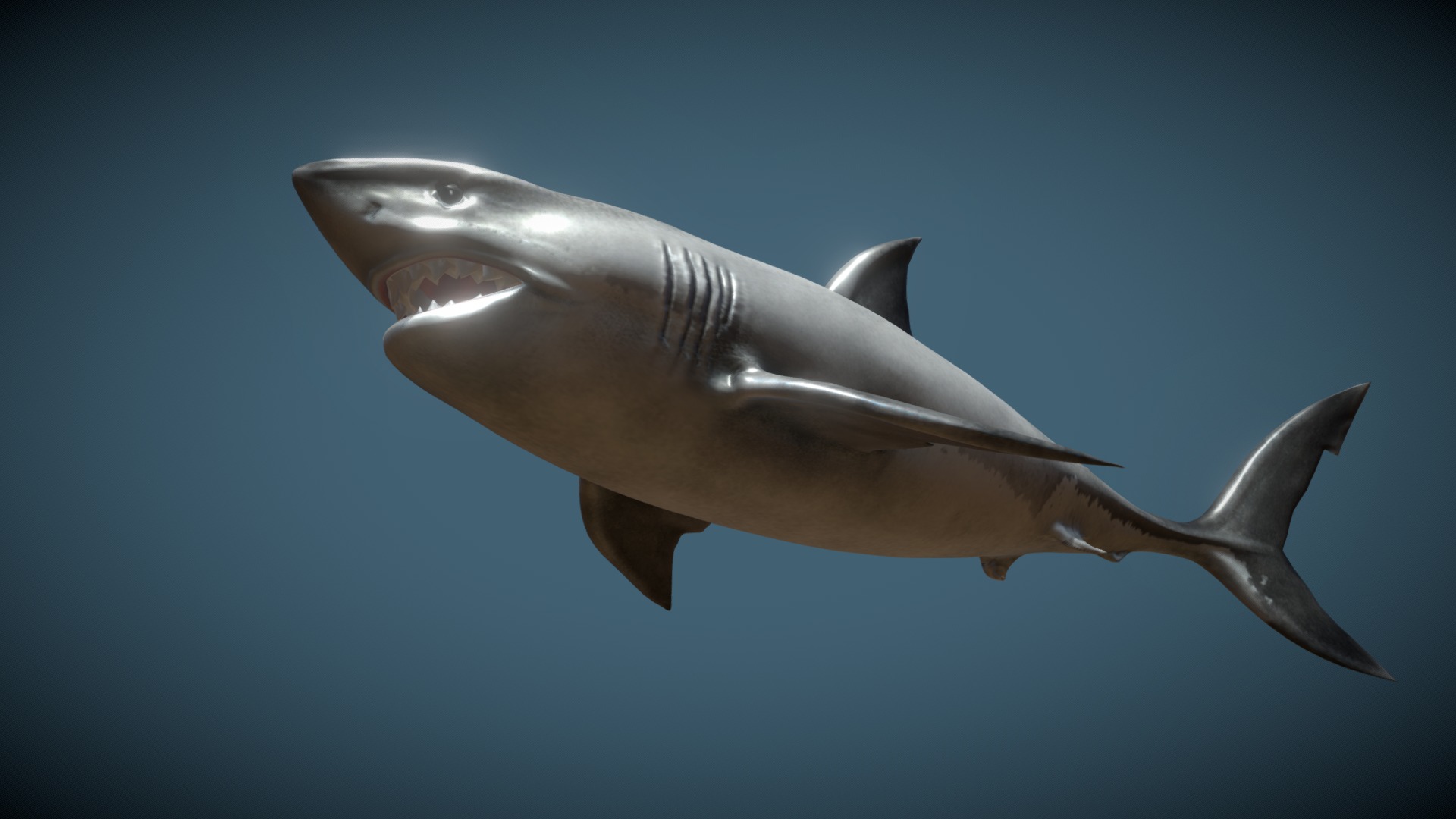 3D model Nemoriko´s : Great White Shark - This is a 3D model of the Nemoriko´s : Great White Shark. The 3D model is about a shark swimming underwater.
