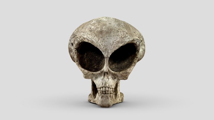 Alien Skull