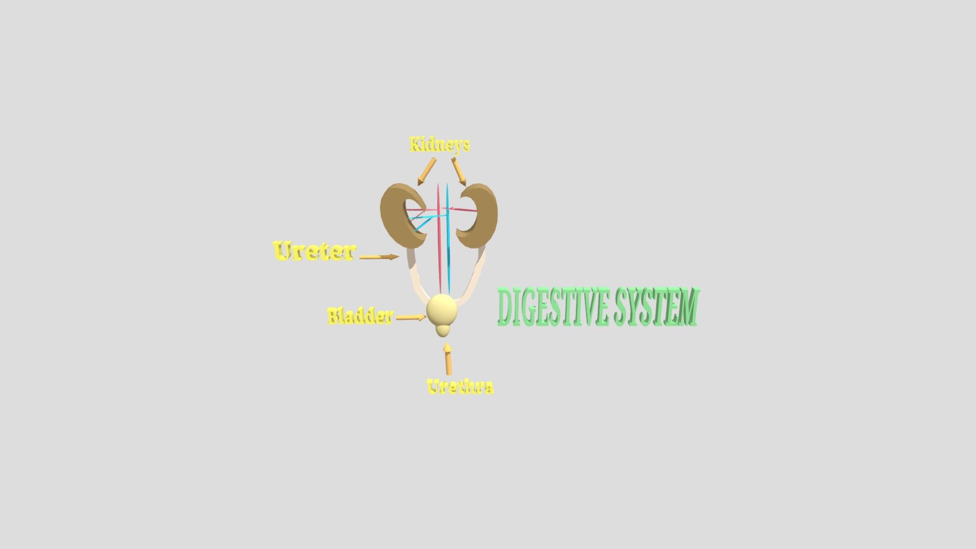Our project