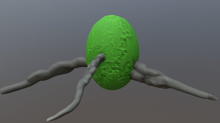 Egg-Test (HighPoly)(WIP) 3D Model
