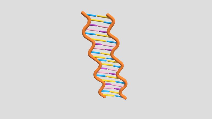 DNA HELIX 3D Model