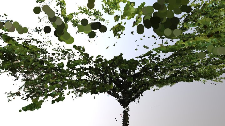 Two trees 3D Model