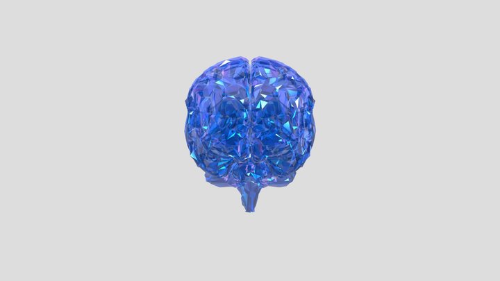 Low Polygon Art Medical Brain Roentgen 3D Model