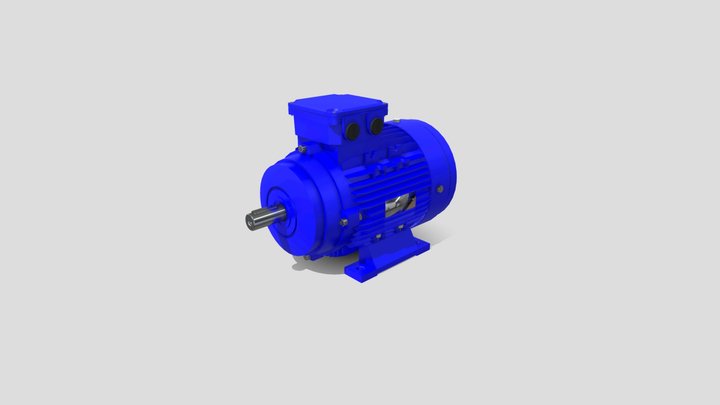 Electric Motor