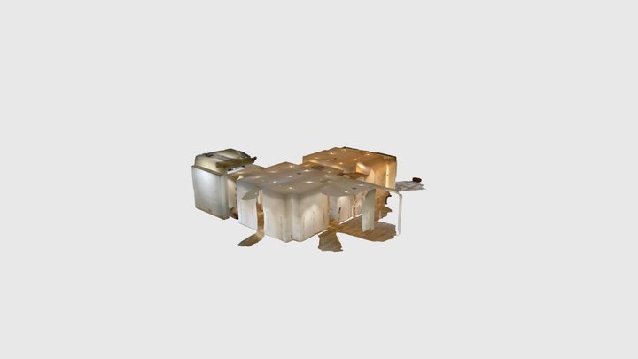 ShiroTM 3D Model