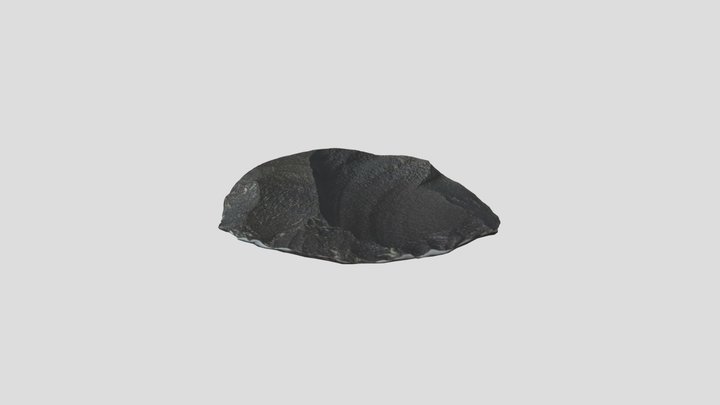 Stone Scraping Tool 3D Model