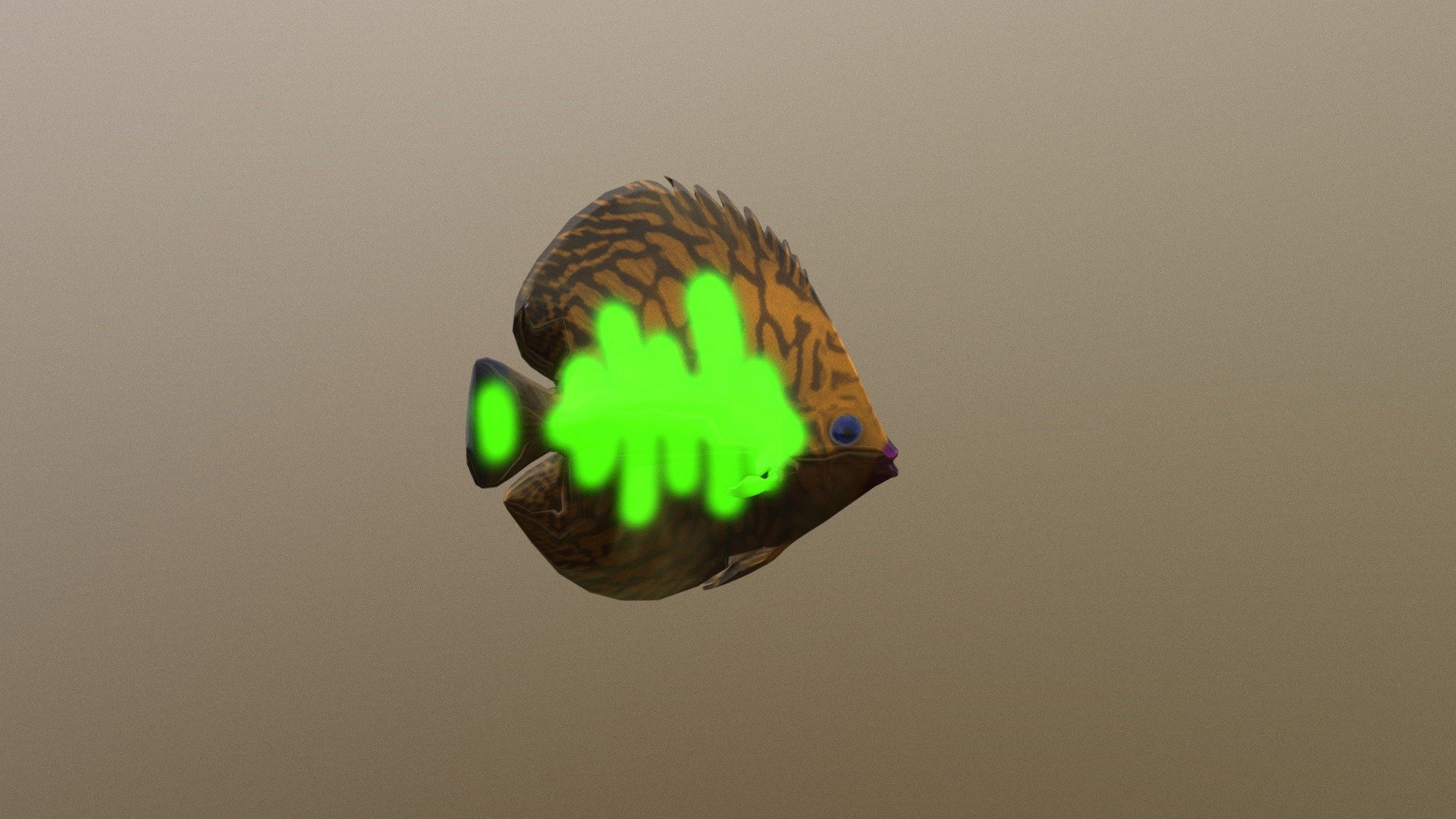 Discus fish normal