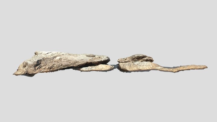 Pedra do Peixe-boi - Rio Negro, Amazonas 3D Model