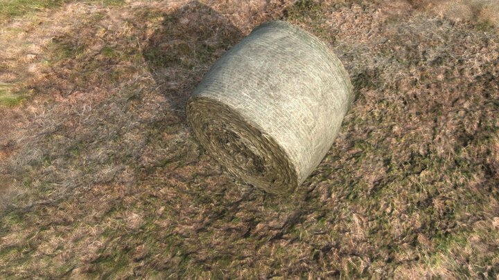 Ballot de paille 3D Model
