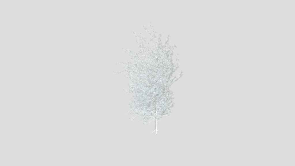 Sj Realistic Evergreen Pine