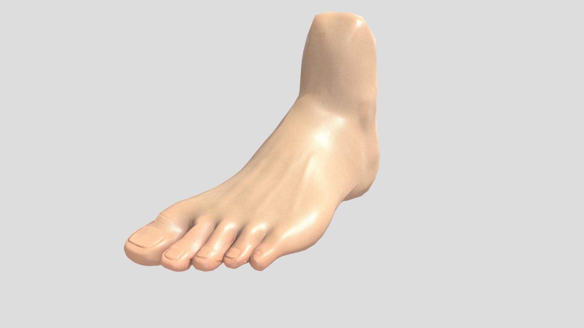 Foot Sculpt - 3D model by Abbarino [a47016a] - Sketchfab