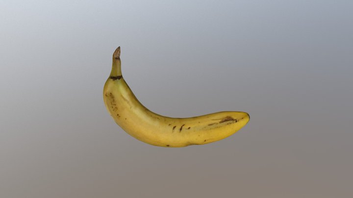 3D Scan Iphone 3D Model