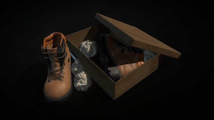 Boots in Box 3D Model