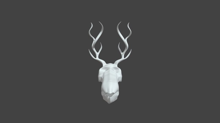 Animal skull with horns - Free 3D Model