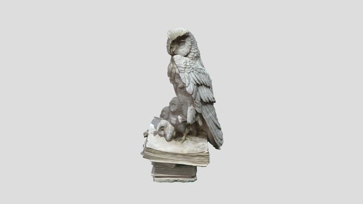 Owl 3D Model