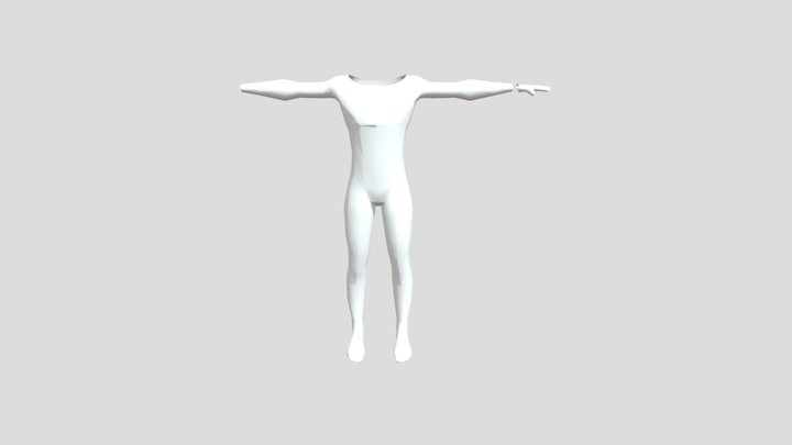 Cuerpo humano 3D Model