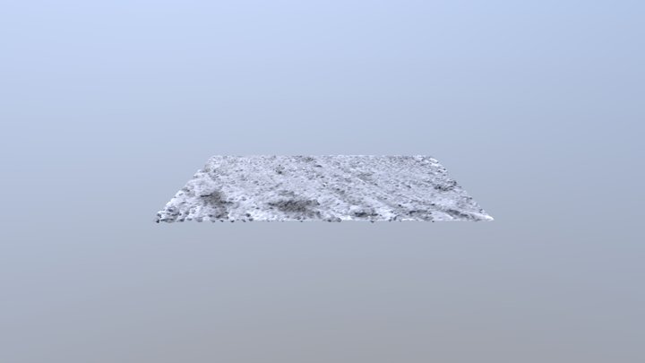 Water Shrew 3D Model