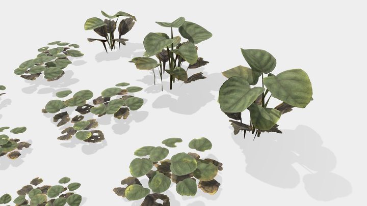 Ground cover plant game ready 3D Model