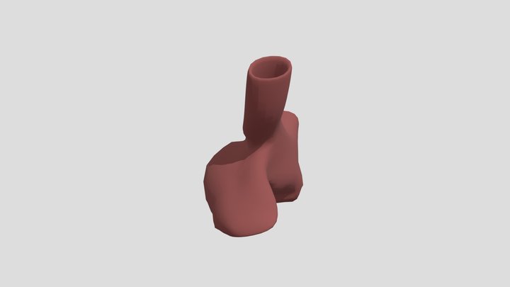 Auricula Izq 3D Model