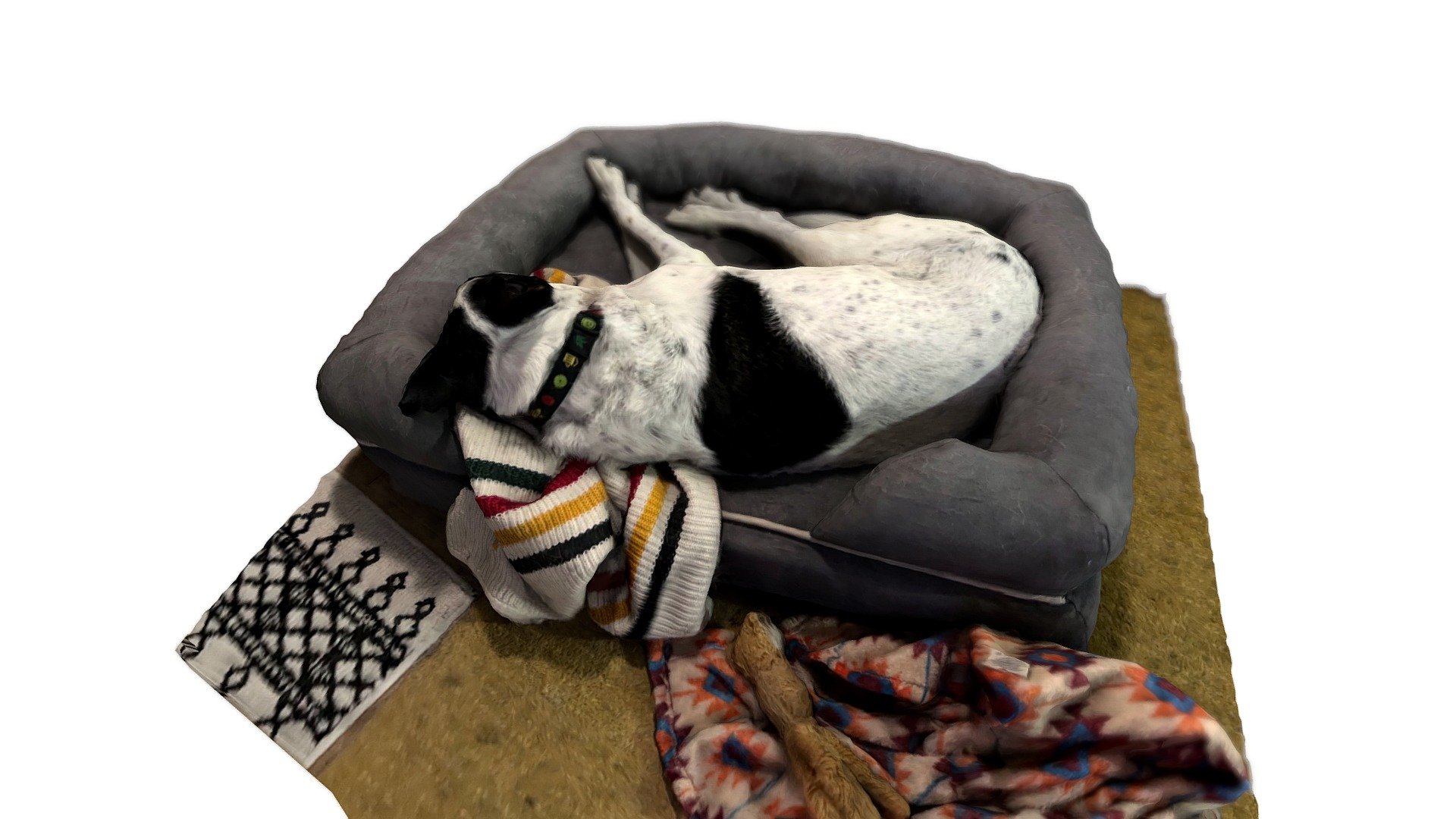 39: Sleeping dog prt 2