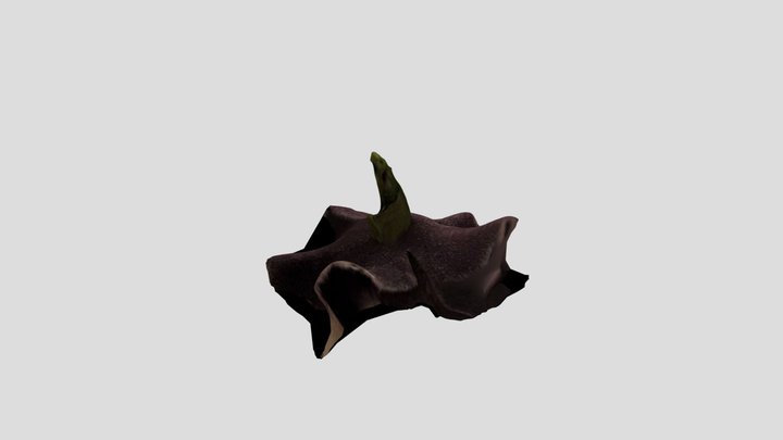 flower2 3D Model