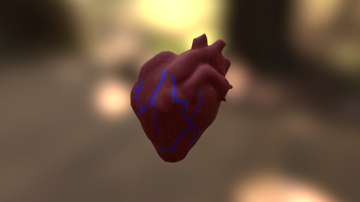 Heart (1) 3D Model