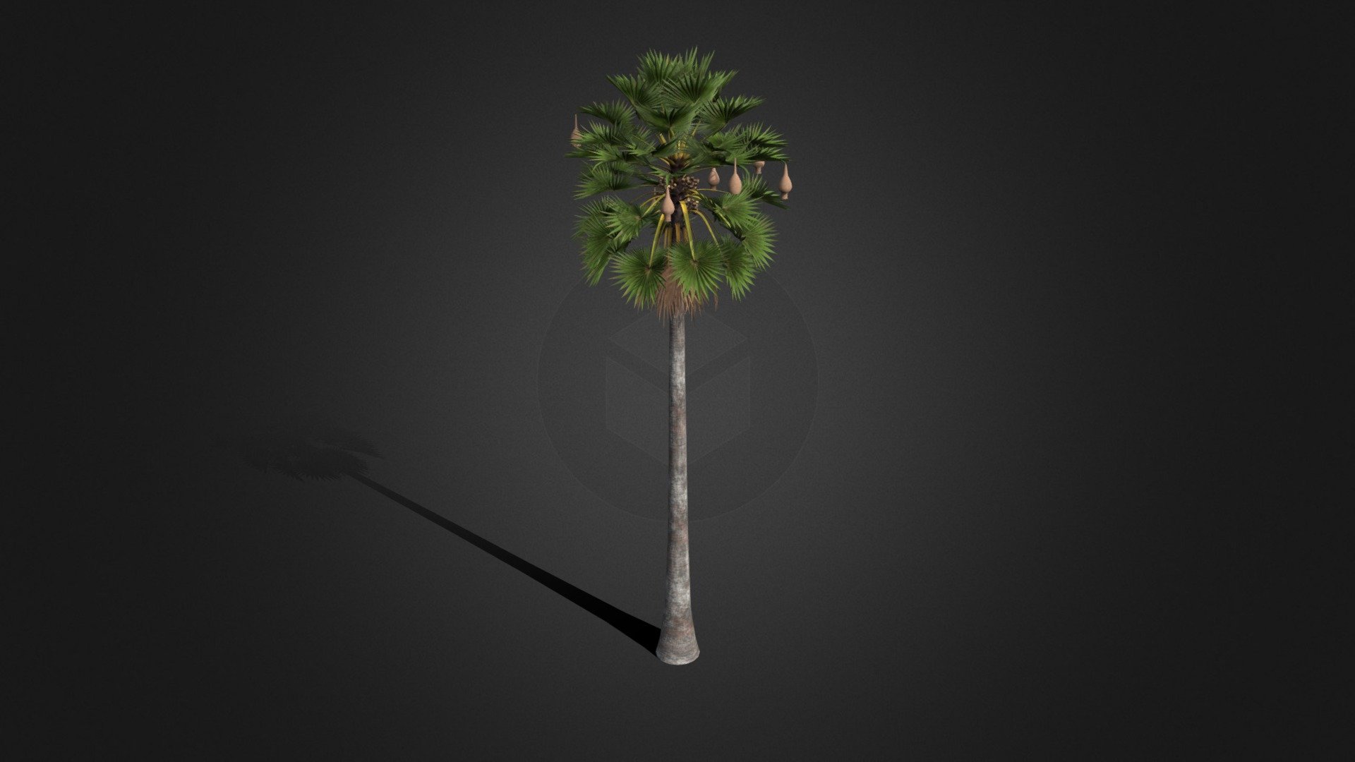 Plam Tree - 3D model by PK (@ousopheakcheng) [a4840c2] - Sketchfab