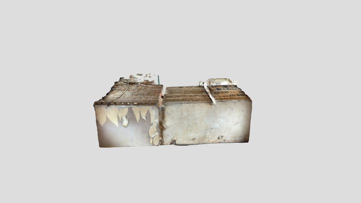 Untitled Scan 3D Model