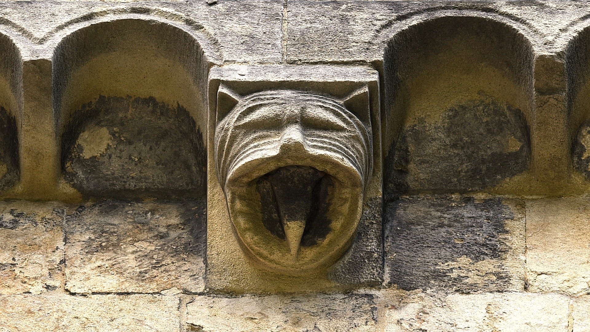 Feline grotesque corbel 10, Romsey Abbey