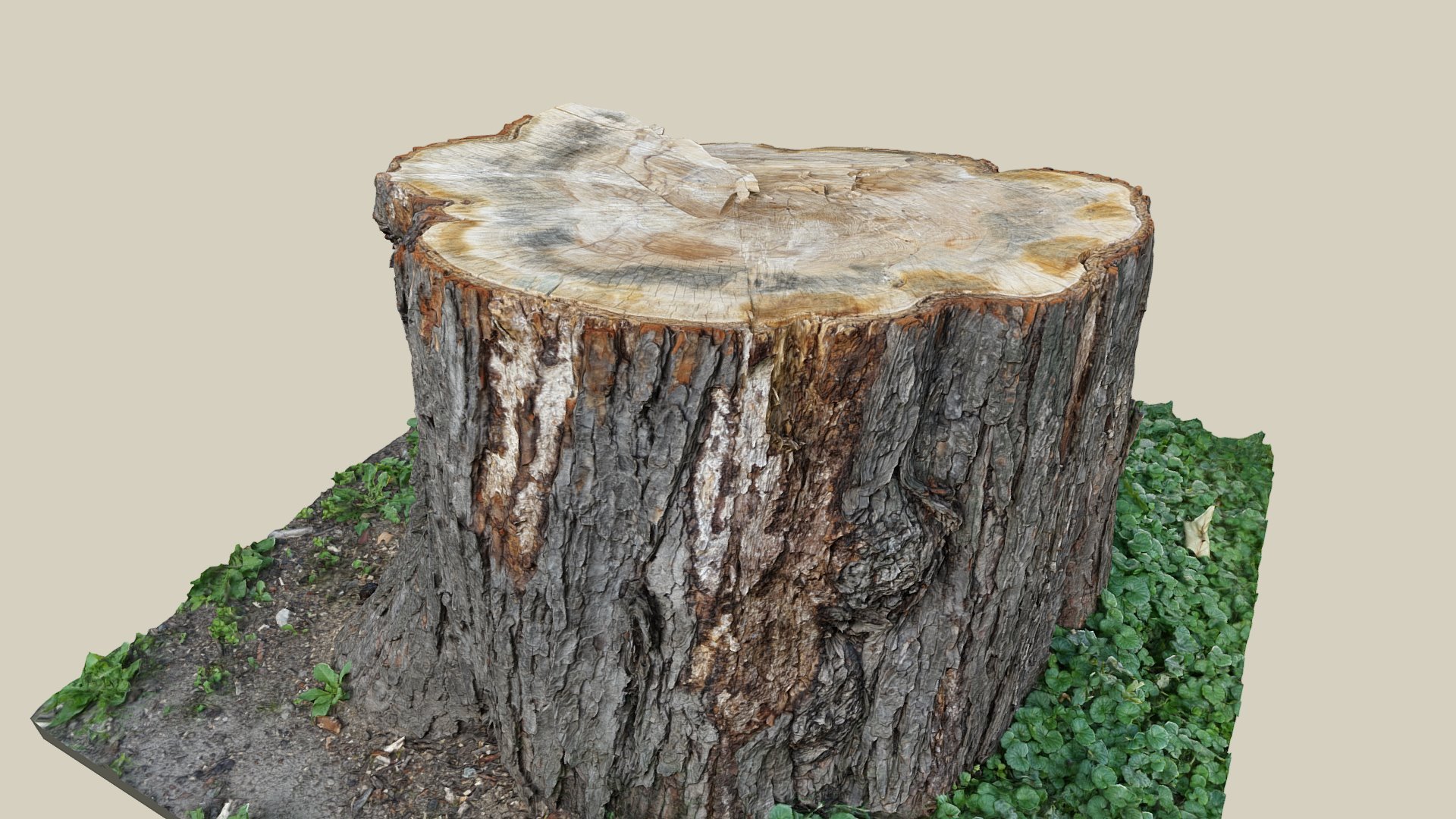 Baumstumpf — Sketchfab embed 3D viewer