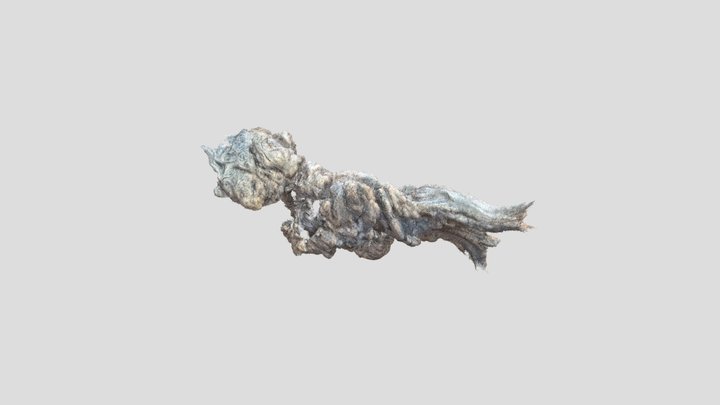 root 3D Model