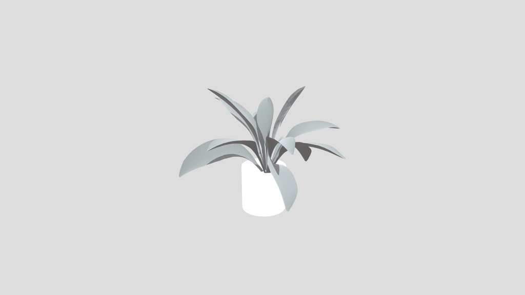 Haran Iron Plant Small Potted