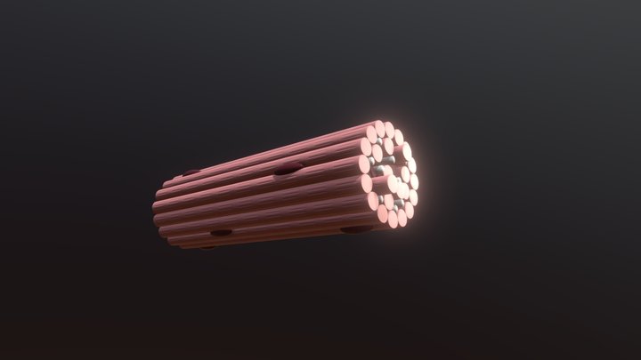 Skeletal Muscle Cell Anatomy 3D Model