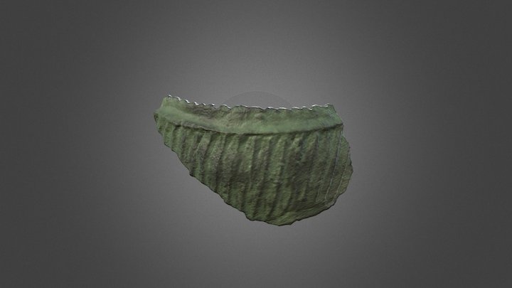 Vaso-prestorico 3D Model
